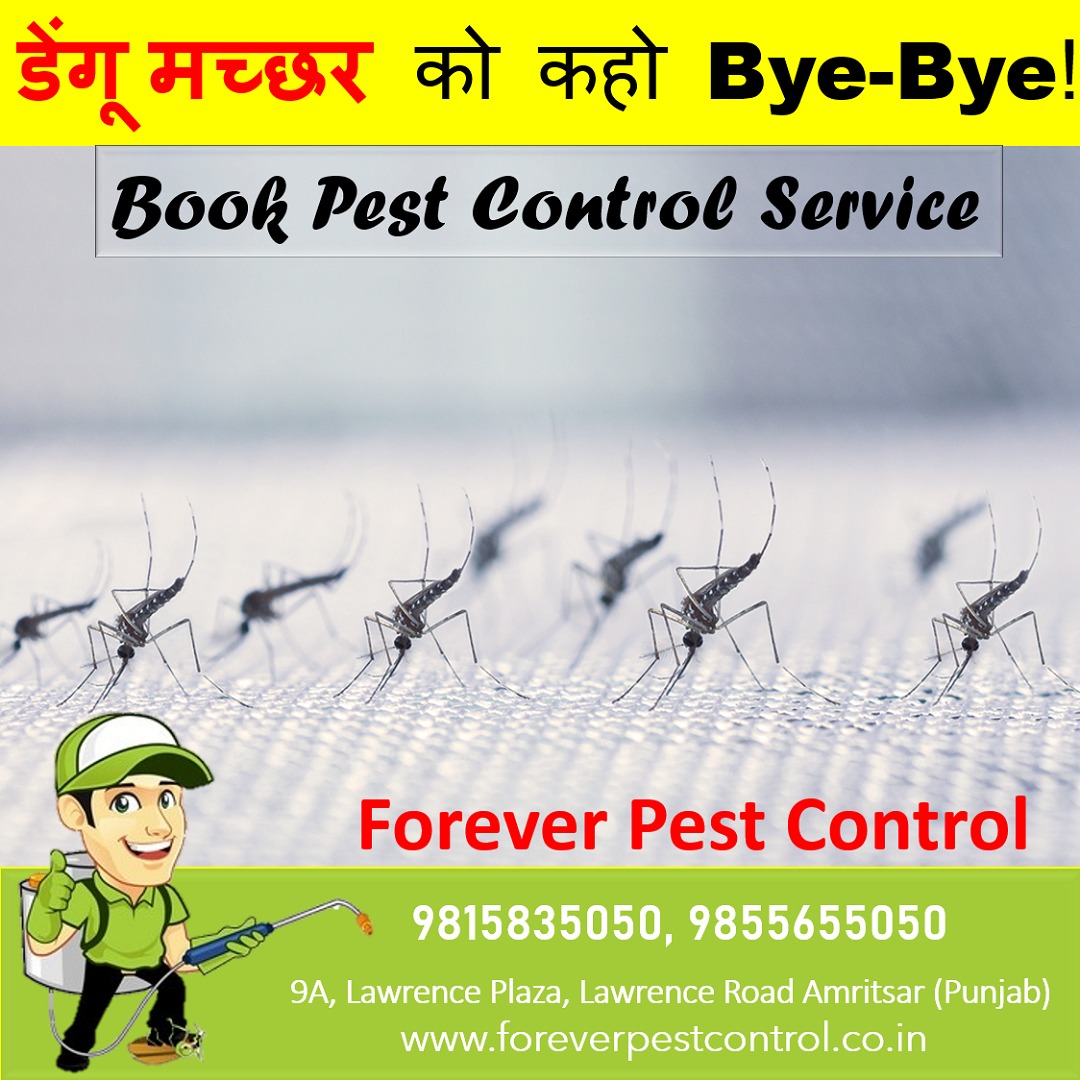 Mosquito Control